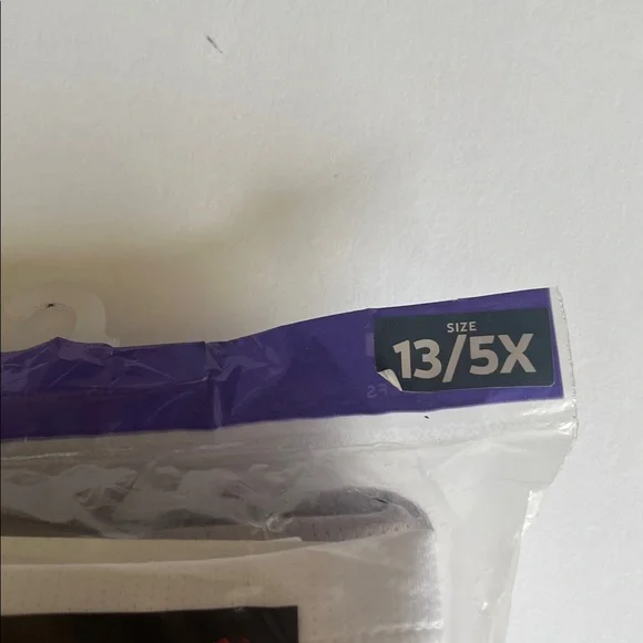 Women’s Plus Size 5X Hanes Mesh Tagless Briefs - Picture 6 of 7